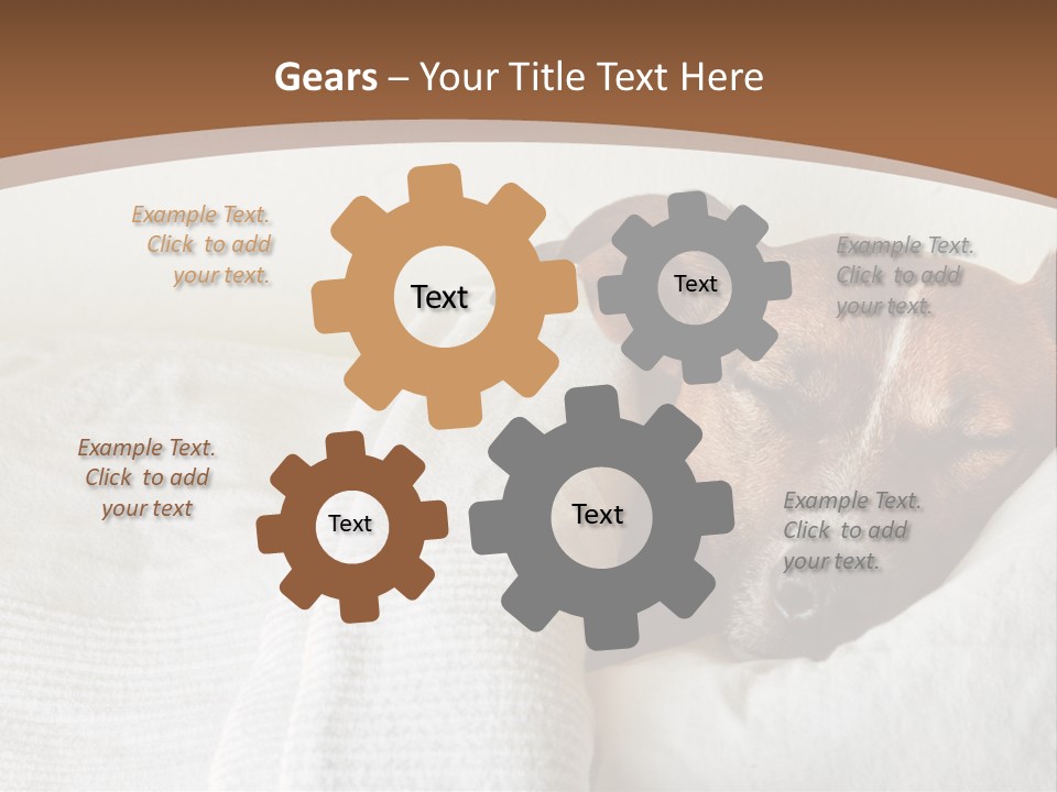 Ill Animal Sleep PowerPoint Template