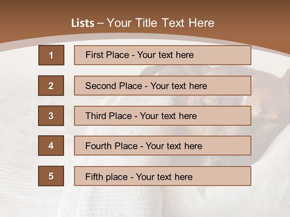 Ill Animal Sleep PowerPoint Template
