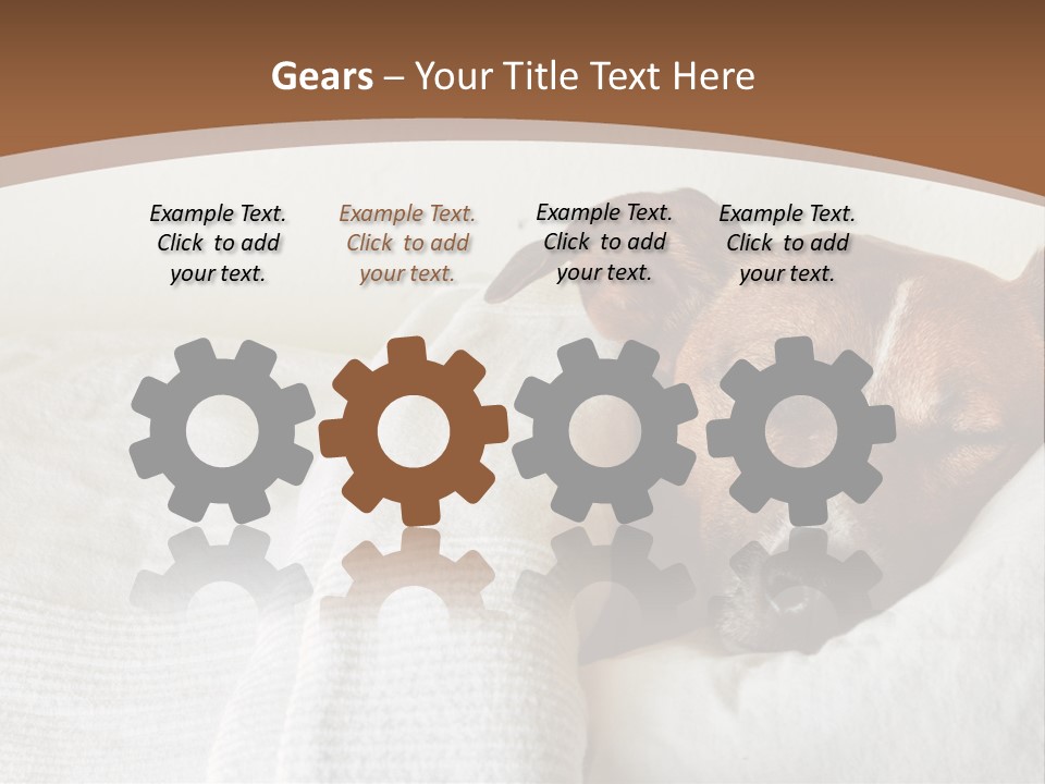 Ill Animal Sleep PowerPoint Template