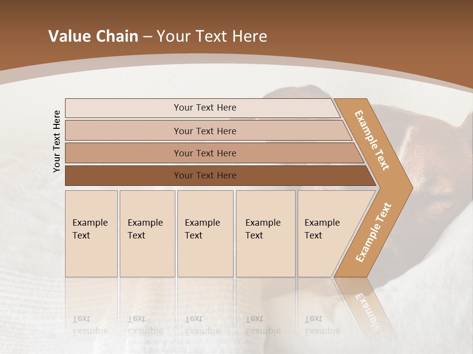 Ill Animal Sleep PowerPoint Template