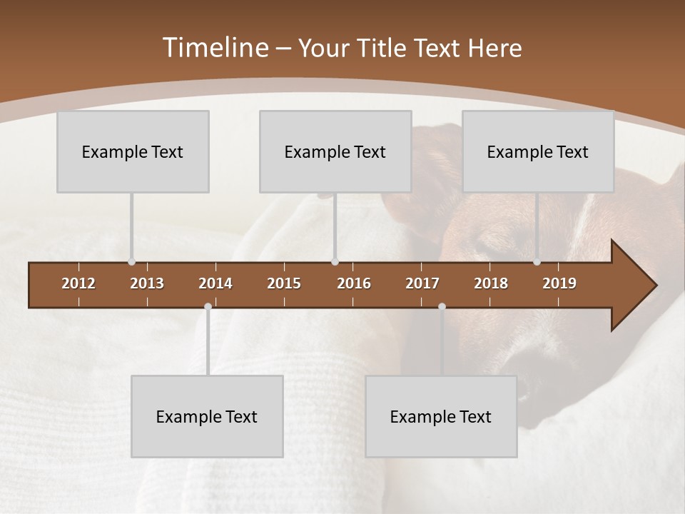 Ill Animal Sleep PowerPoint Template