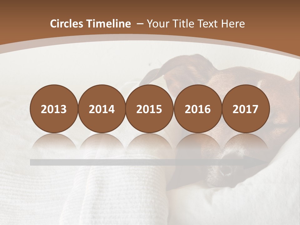Ill Animal Sleep PowerPoint Template