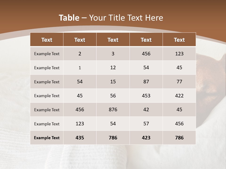 Ill Animal Sleep PowerPoint Template