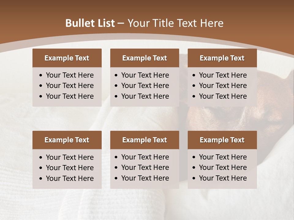 Ill Animal Sleep PowerPoint Template