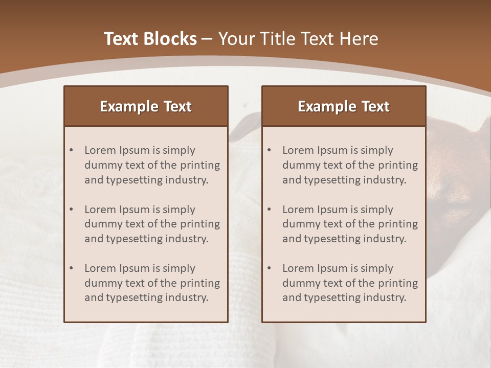 Ill Animal Sleep PowerPoint Template