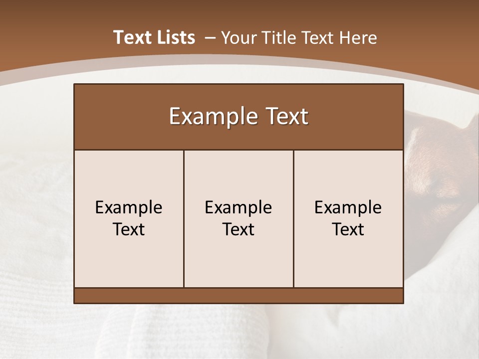 Ill Animal Sleep PowerPoint Template