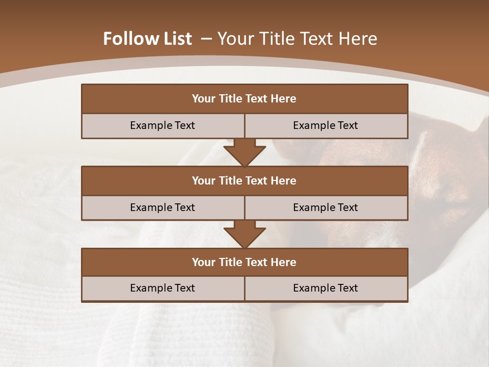 Ill Animal Sleep PowerPoint Template