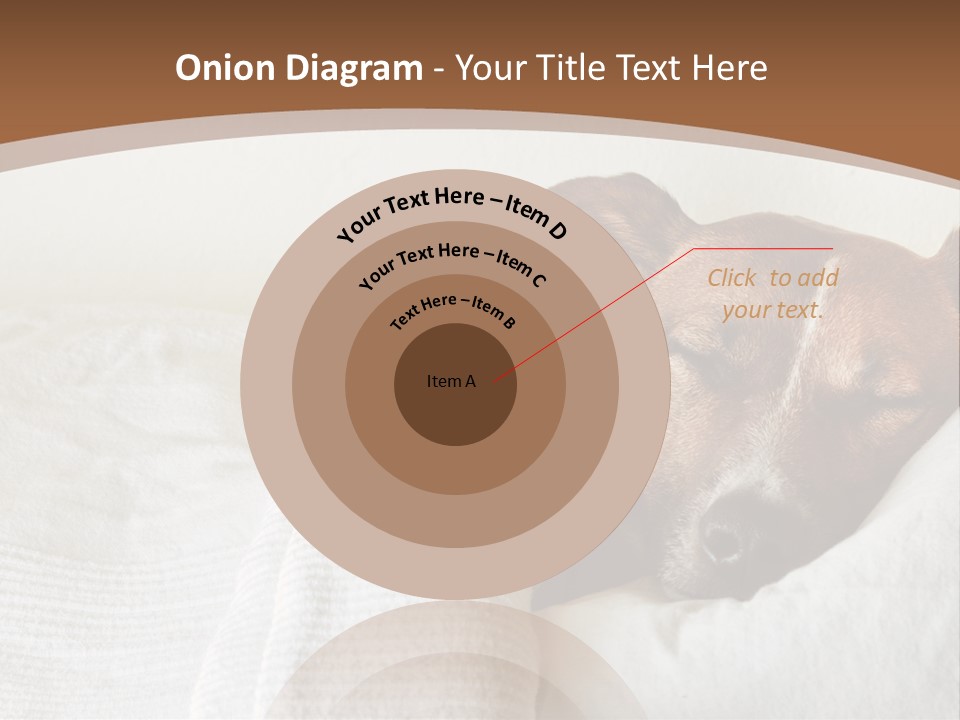 Ill Animal Sleep PowerPoint Template