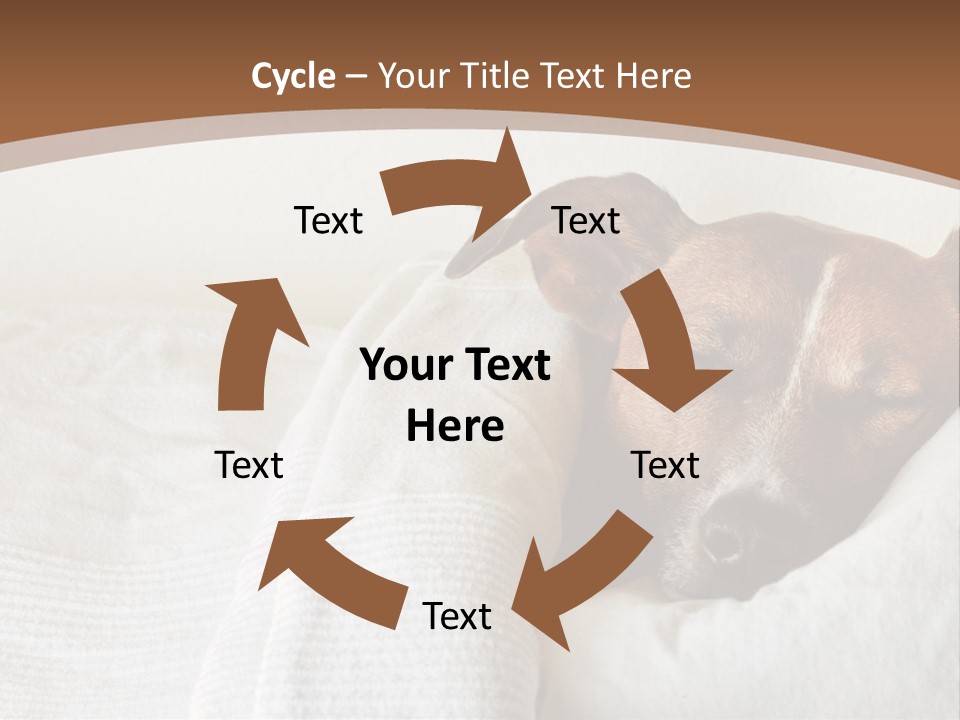 Ill Animal Sleep PowerPoint Template