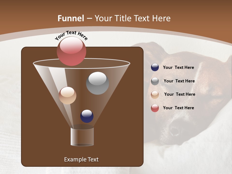 Ill Animal Sleep PowerPoint Template