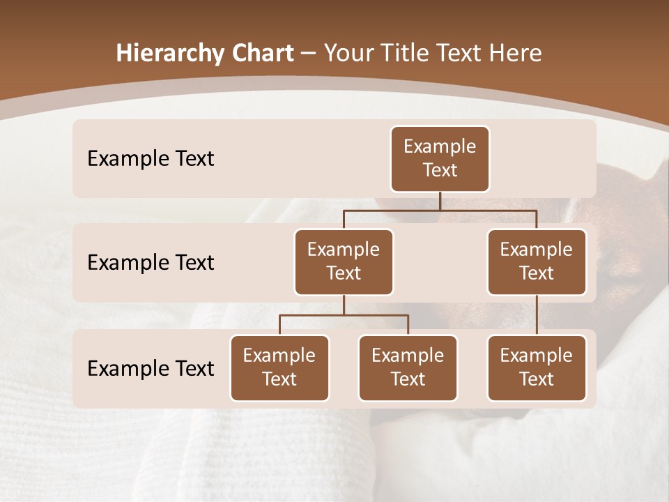 Ill Animal Sleep PowerPoint Template