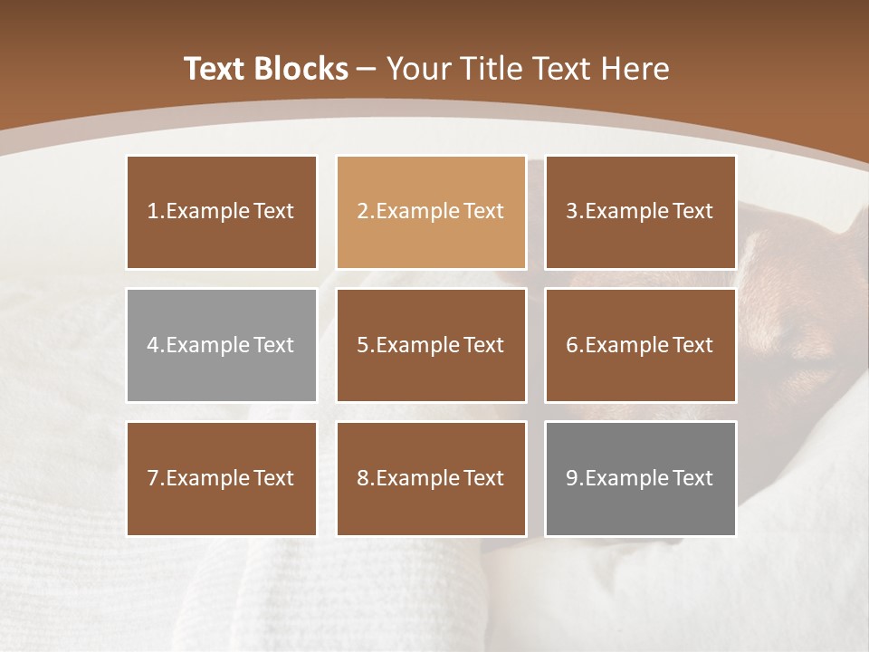 Ill Animal Sleep PowerPoint Template