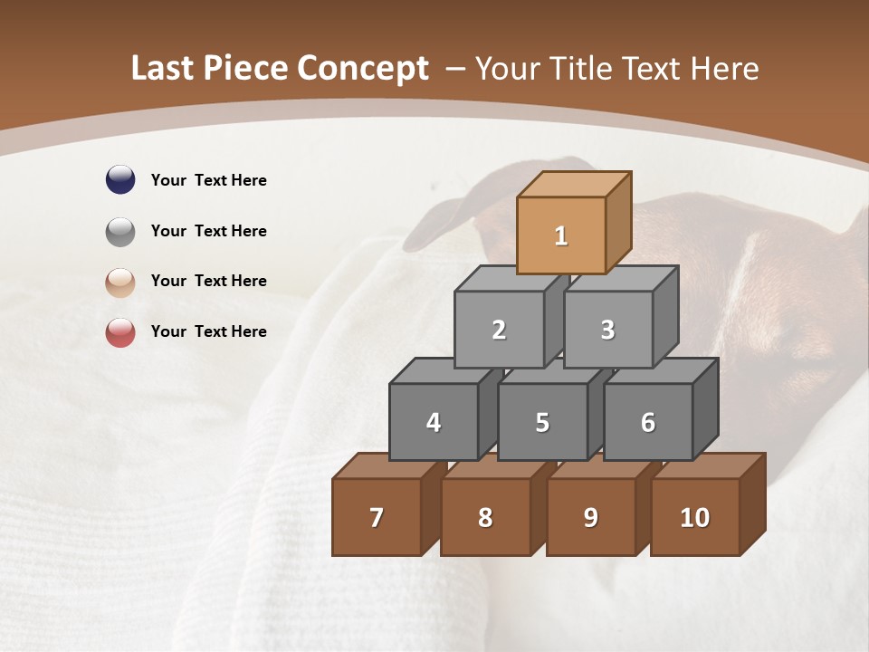 Ill Animal Sleep PowerPoint Template