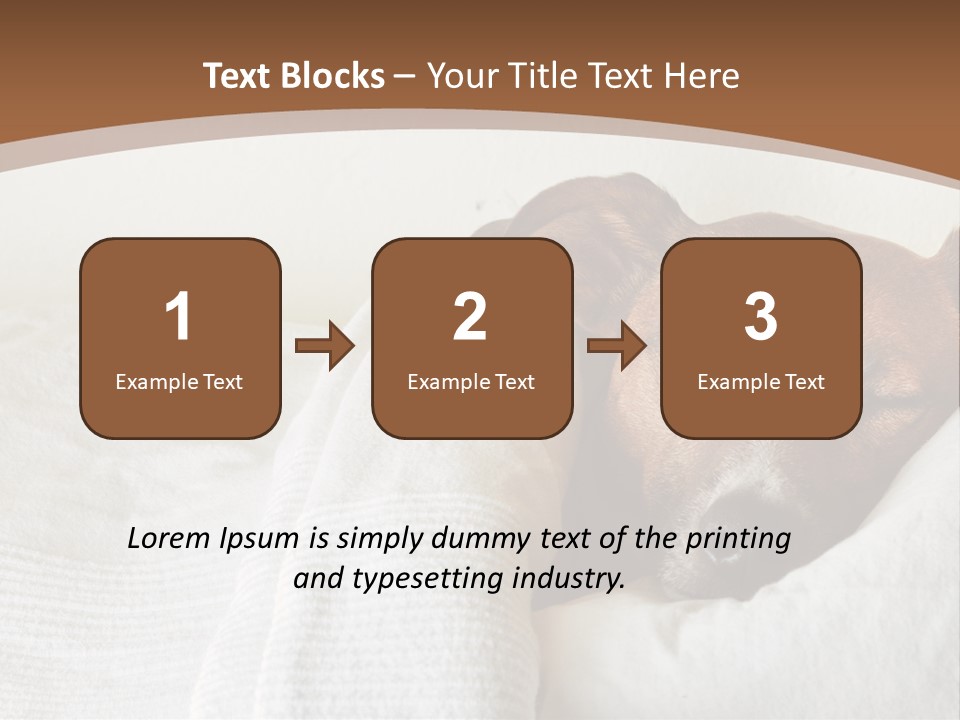 Ill Animal Sleep PowerPoint Template