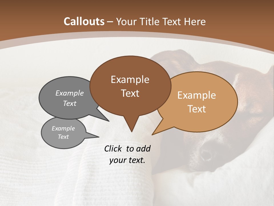 Ill Animal Sleep PowerPoint Template