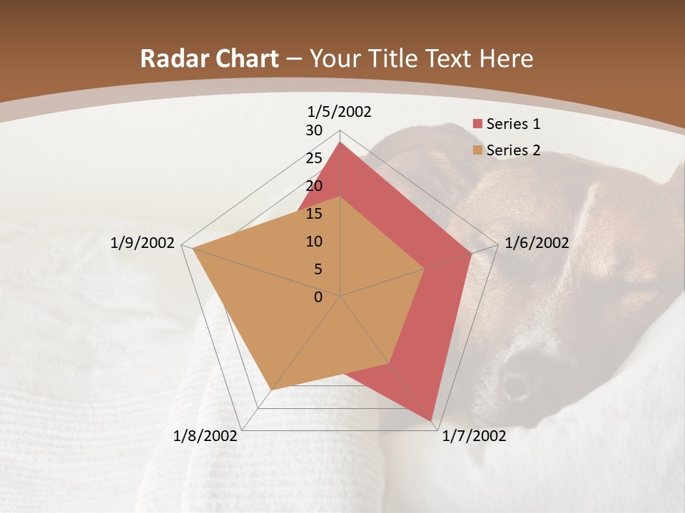 Ill Animal Sleep PowerPoint Template