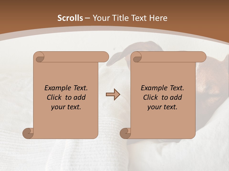 Ill Animal Sleep PowerPoint Template