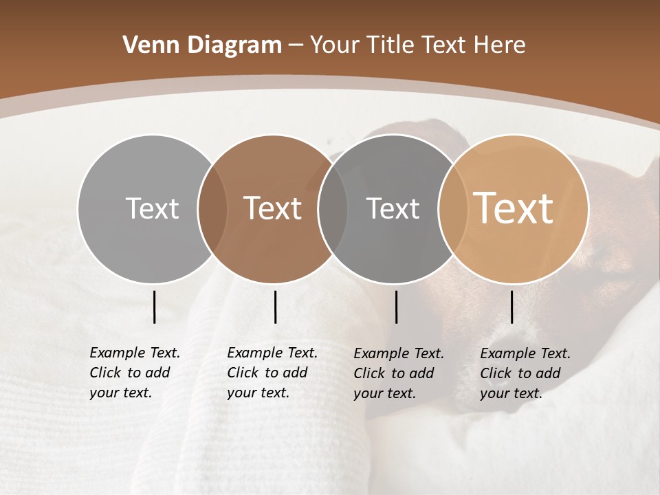 Ill Animal Sleep PowerPoint Template