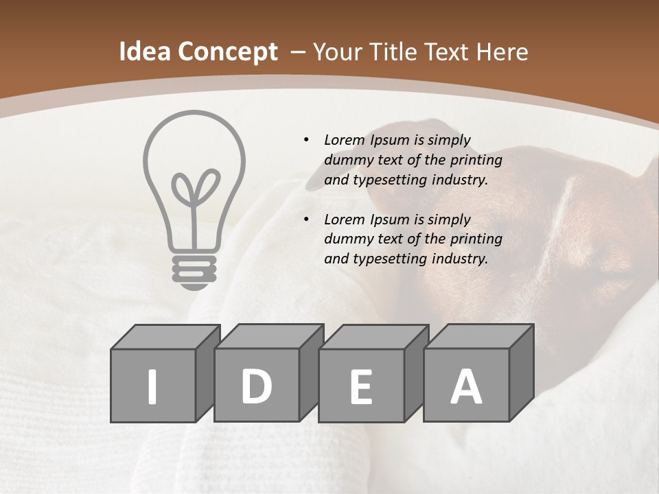 Ill Animal Sleep PowerPoint Template