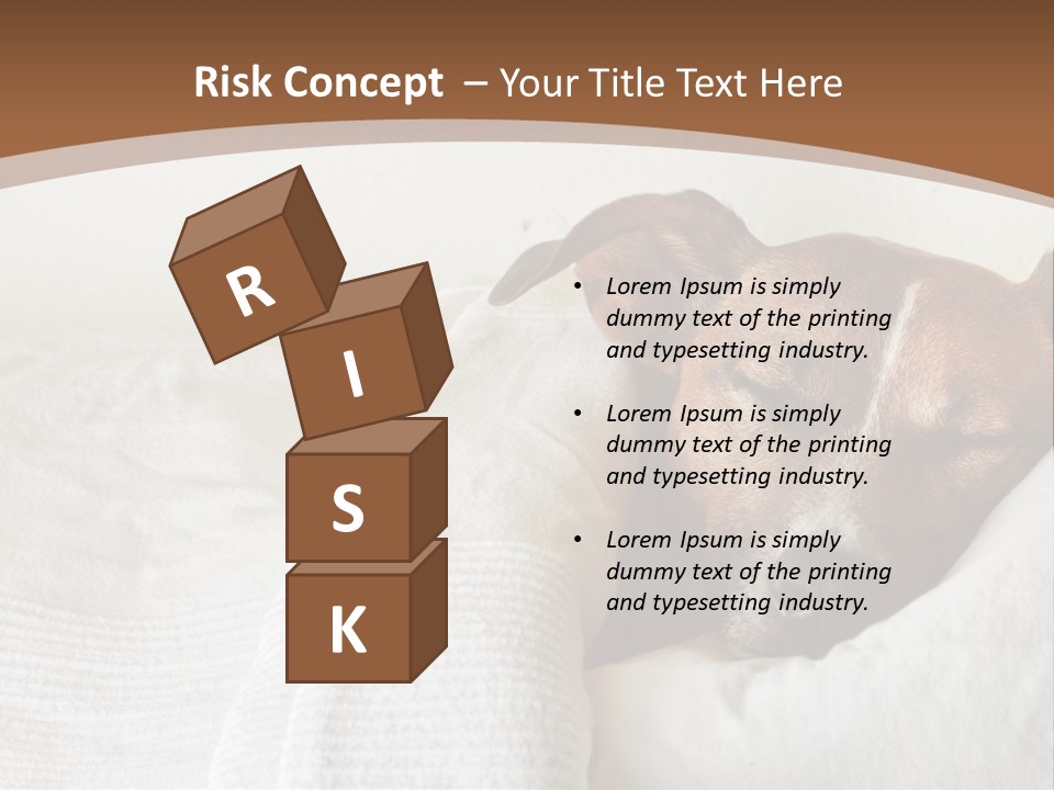 Ill Animal Sleep PowerPoint Template