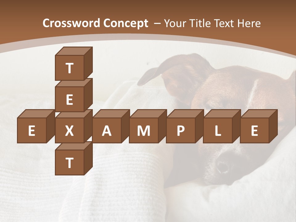 Ill Animal Sleep PowerPoint Template