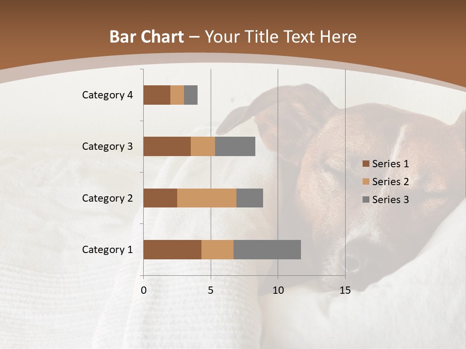 Ill Animal Sleep PowerPoint Template