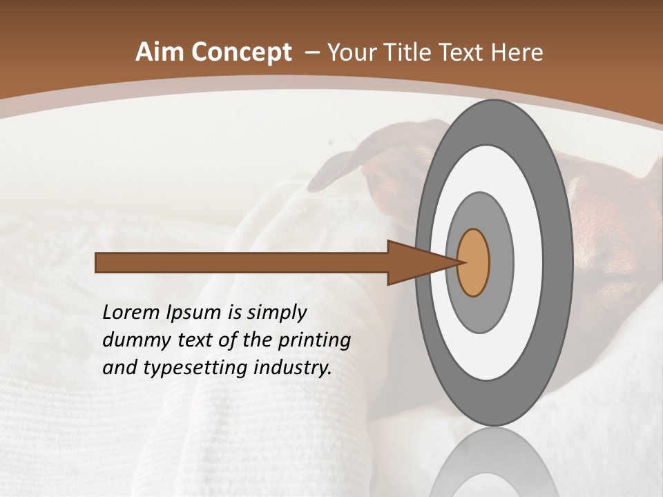 Ill Animal Sleep PowerPoint Template