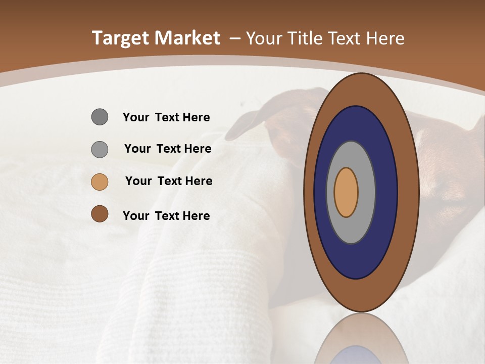 Ill Animal Sleep PowerPoint Template