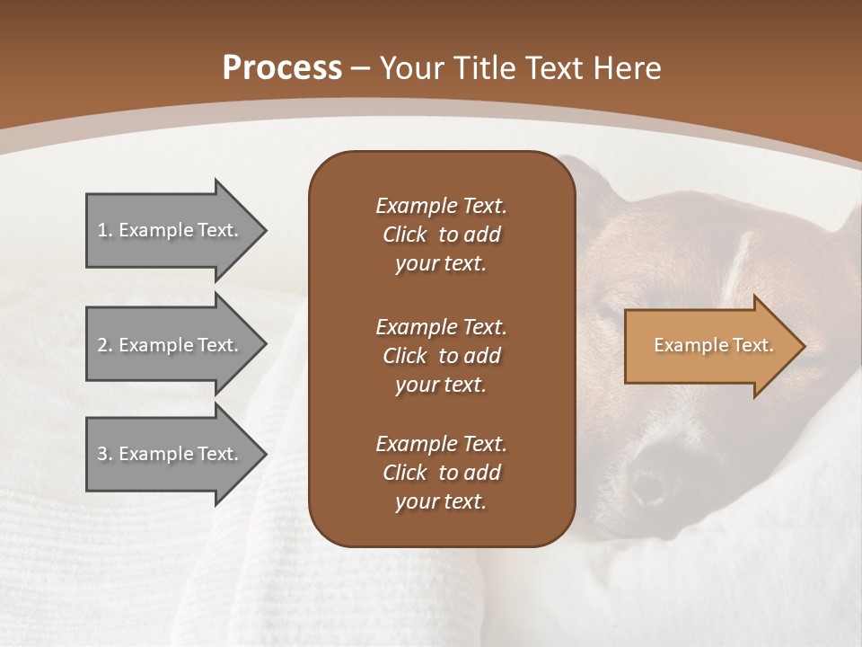 Ill Animal Sleep PowerPoint Template