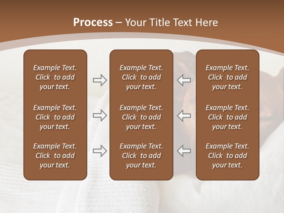 Ill Animal Sleep PowerPoint Template