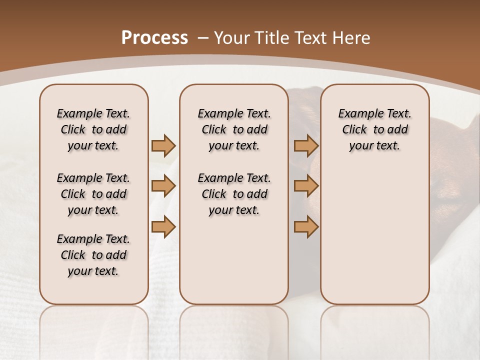 Ill Animal Sleep PowerPoint Template