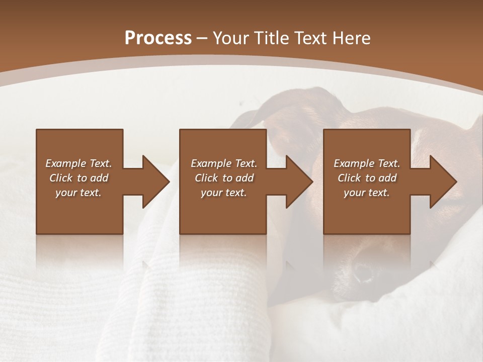 Ill Animal Sleep PowerPoint Template