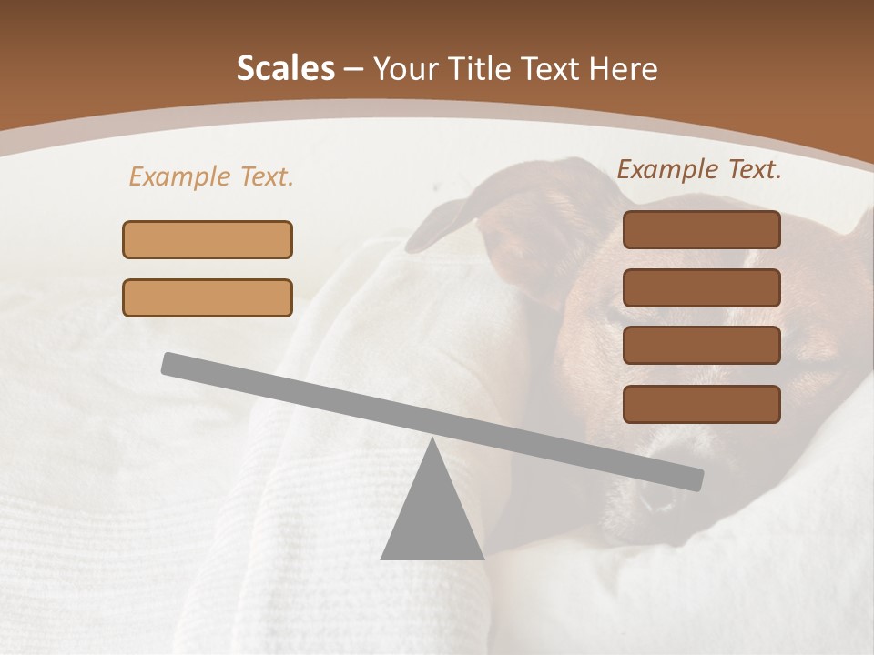 Ill Animal Sleep PowerPoint Template