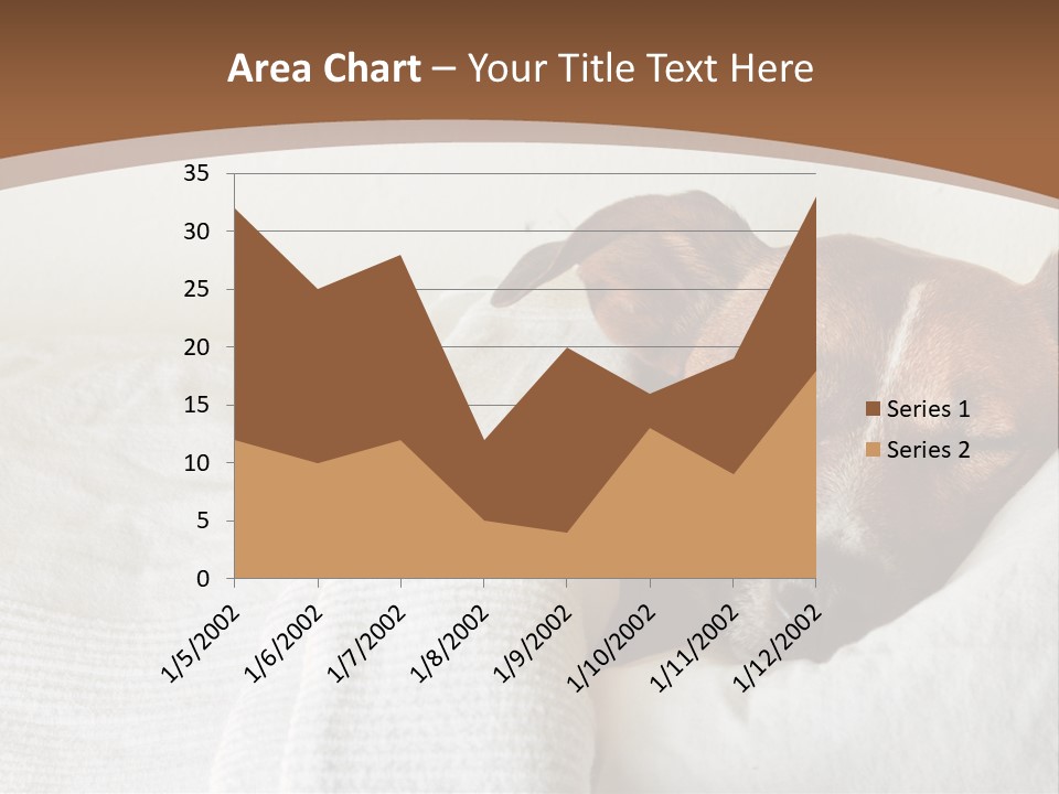 Ill Animal Sleep PowerPoint Template