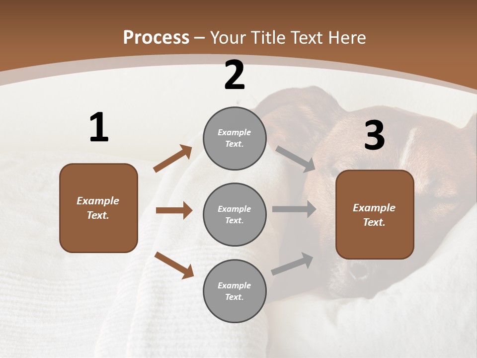 Ill Animal Sleep PowerPoint Template