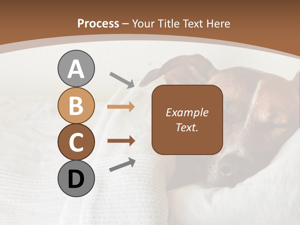 Ill Animal Sleep PowerPoint Template