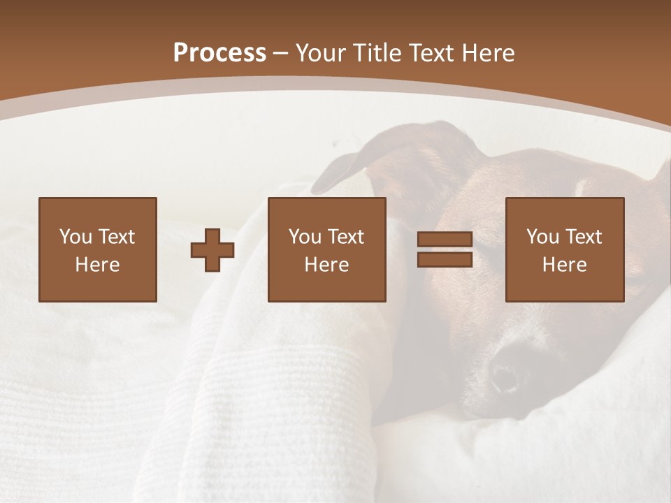 Ill Animal Sleep PowerPoint Template