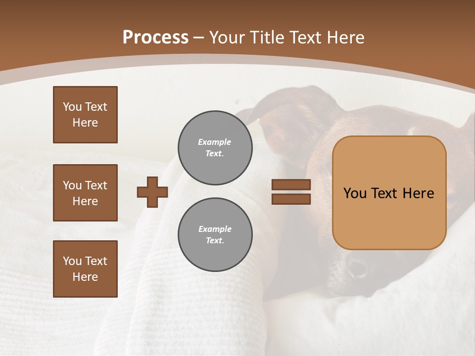 Ill Animal Sleep PowerPoint Template
