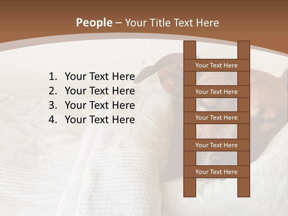 Ill Animal Sleep PowerPoint Template