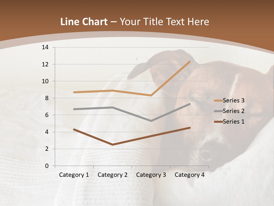 Ill Animal Sleep PowerPoint Template