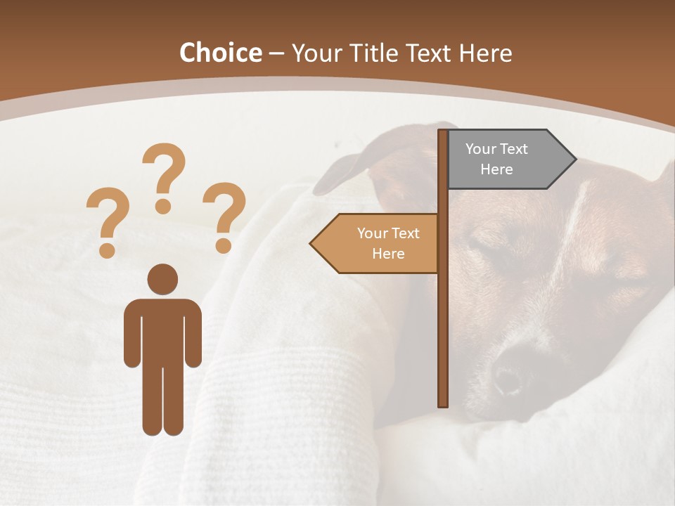 Ill Animal Sleep PowerPoint Template