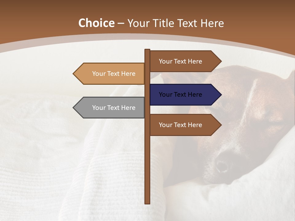 Ill Animal Sleep PowerPoint Template