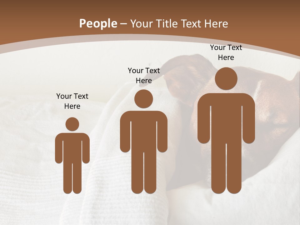 Ill Animal Sleep PowerPoint Template