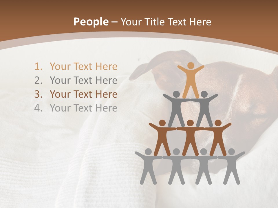 Ill Animal Sleep PowerPoint Template