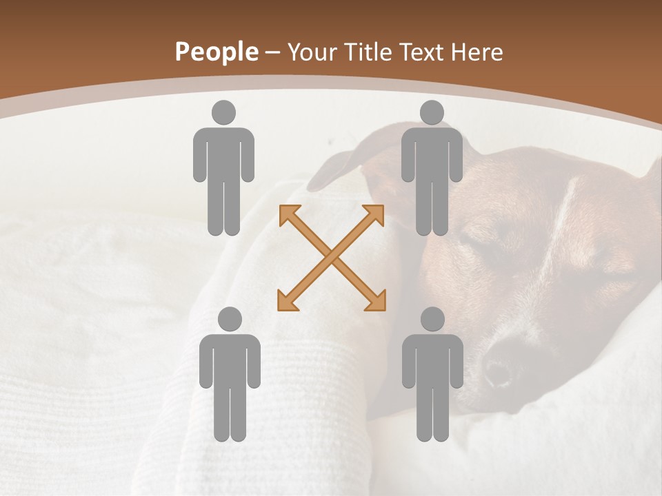 Ill Animal Sleep PowerPoint Template