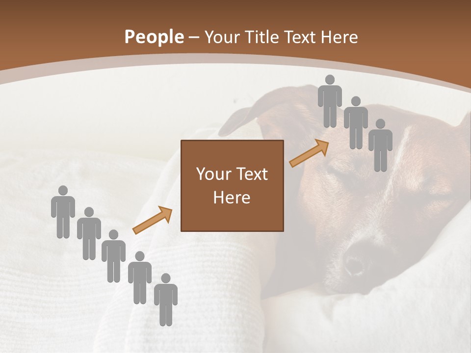 Ill Animal Sleep PowerPoint Template