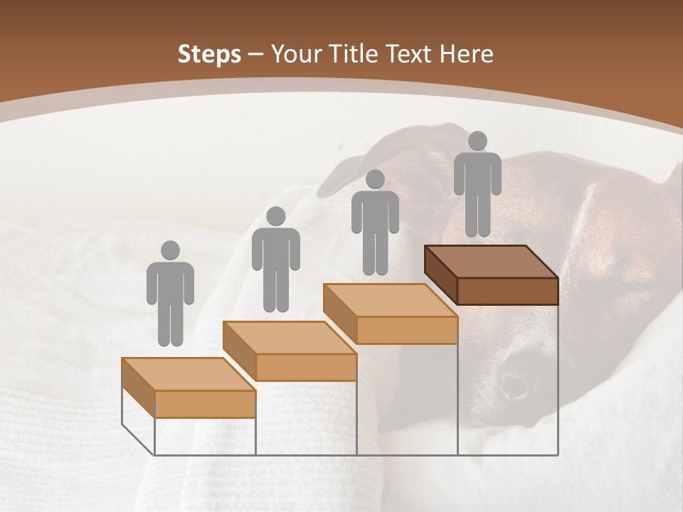 Ill Animal Sleep PowerPoint Template