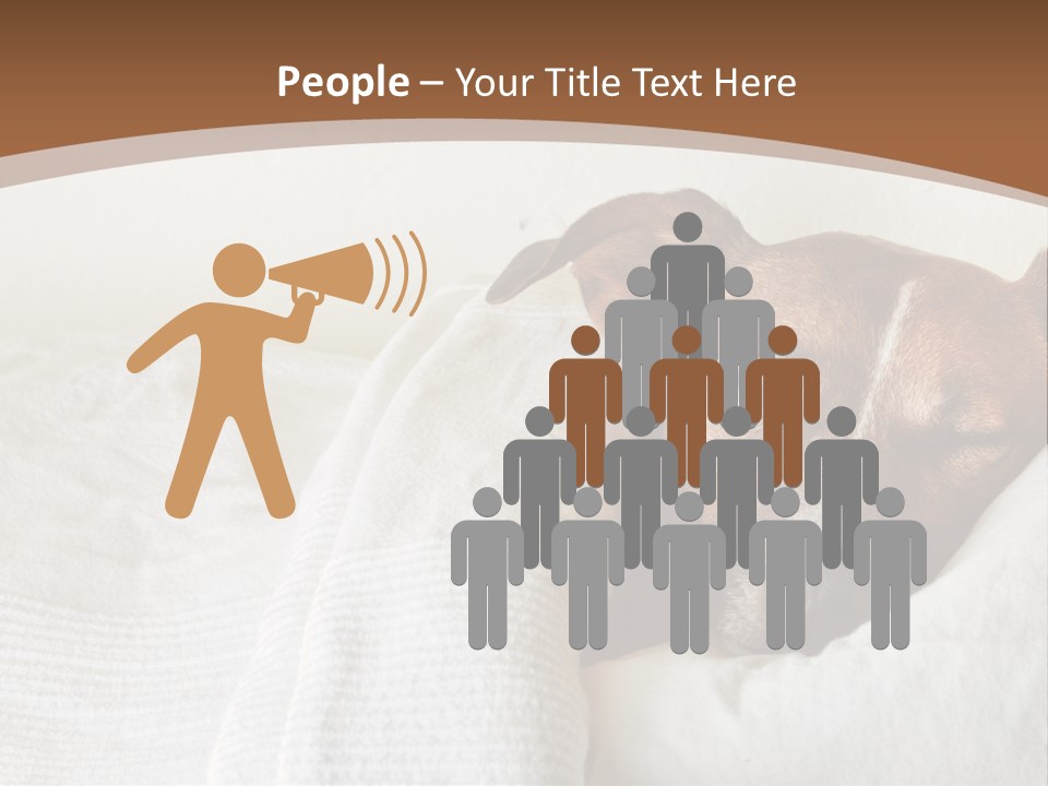 Ill Animal Sleep PowerPoint Template