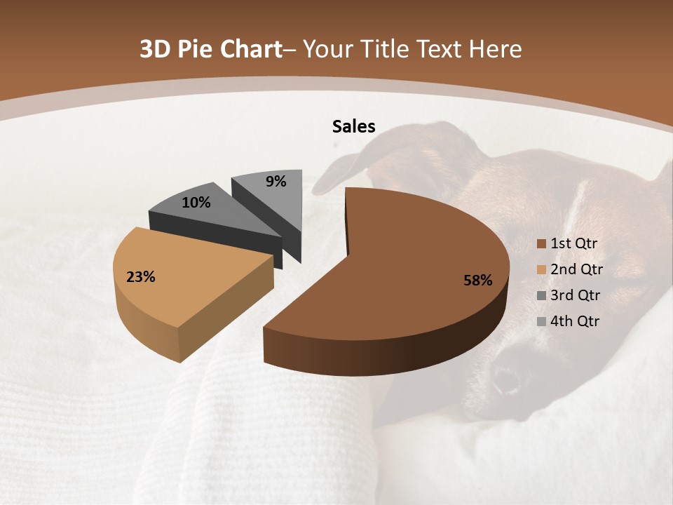 Ill Animal Sleep PowerPoint Template