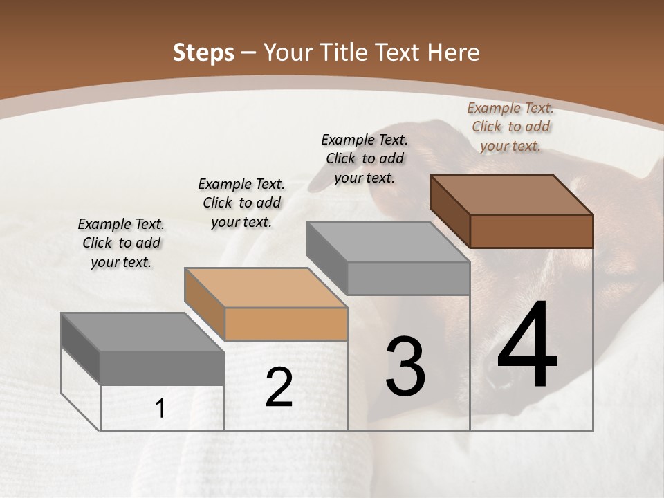 Ill Animal Sleep PowerPoint Template